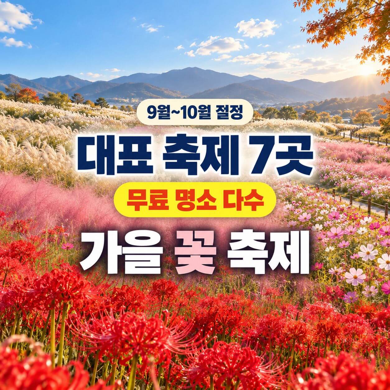 가을 꽃 축제 하는 곳