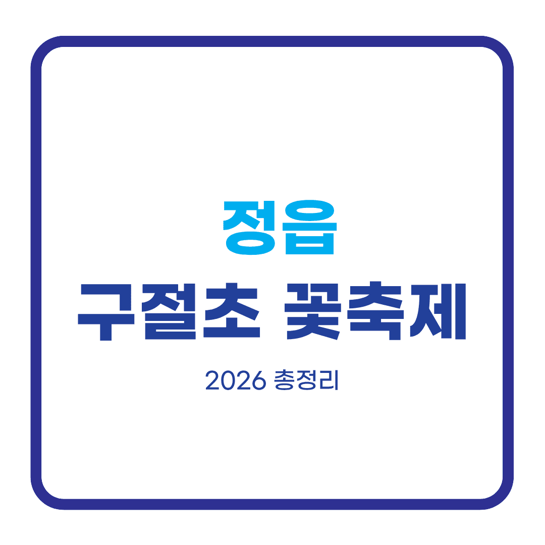 정읍 구절초 꽃축제