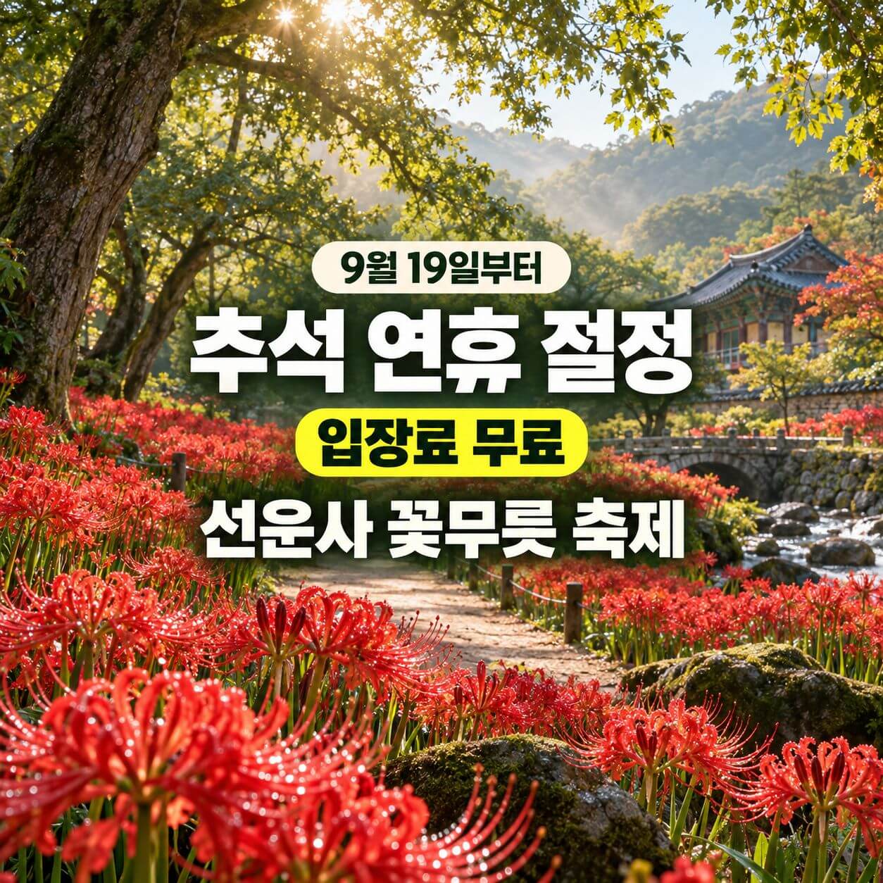 선운사 꽃무릇 축제