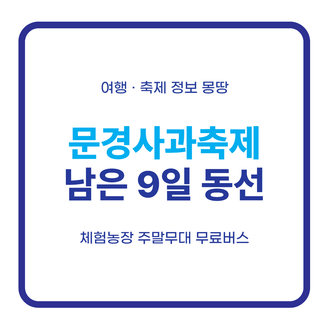 문경사과축제 2026 사과따기 체험 동선 대표 이미지